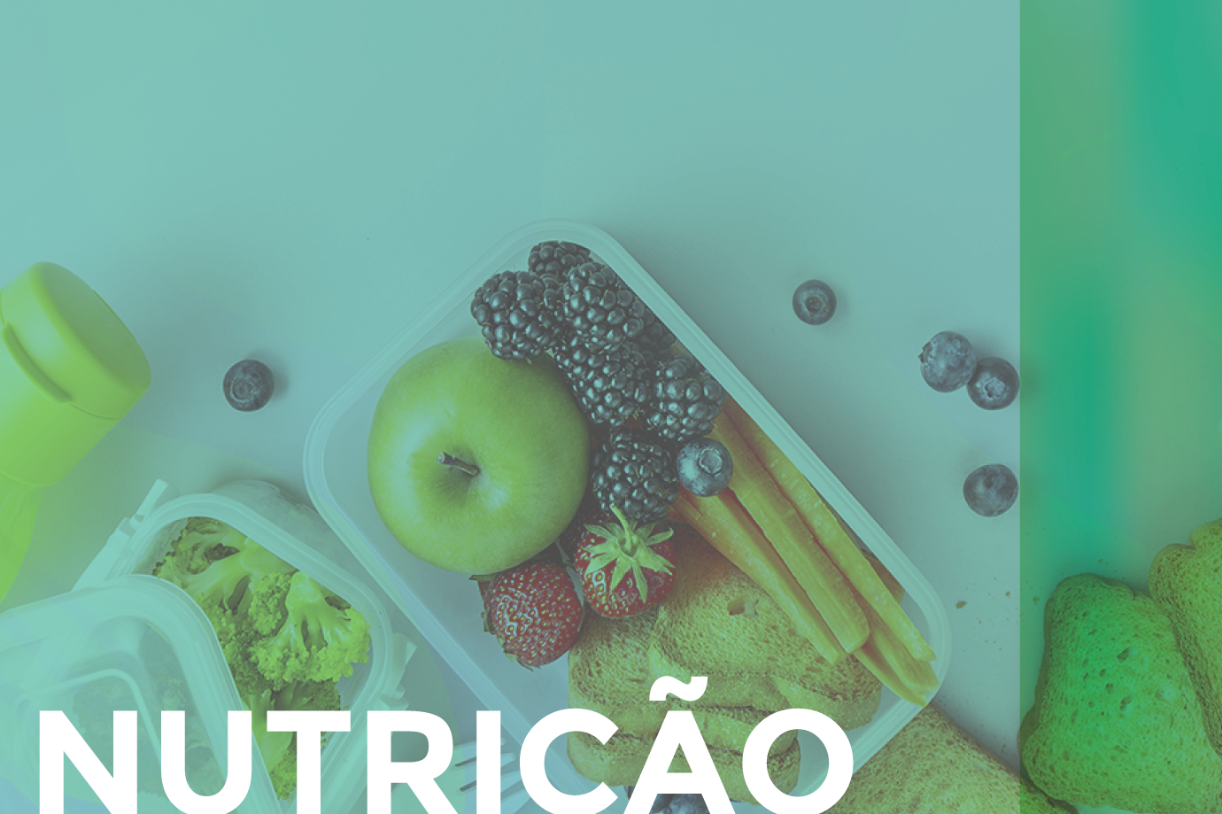 Nutrição e Câncer