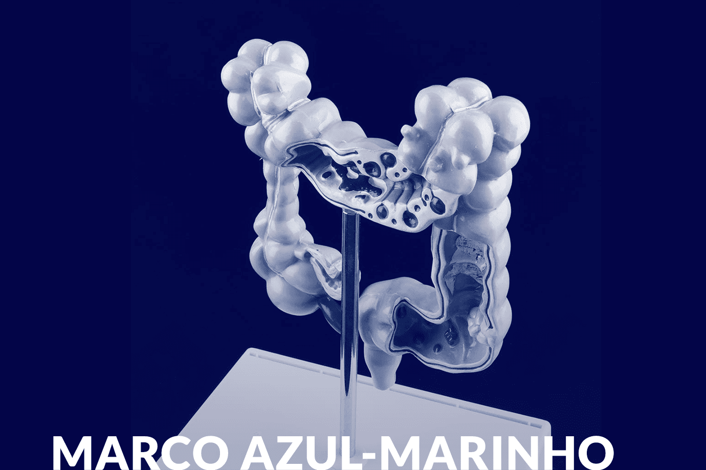 Março Azul-Marinho 